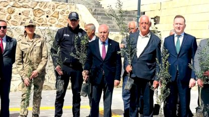 Mardin Yeşilli’de tarihi rekor! 102 bin meyveli fidan dağıtıldı