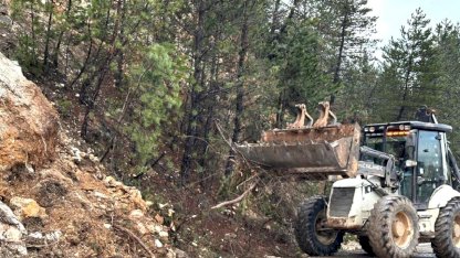 Mengen'de Heyelan: Karayolu Kapandı