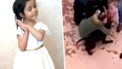 Pitbull Saldırısına Hapis Cezası