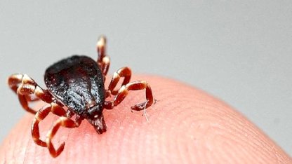 Sivas’ta KKKA şüphesi: 21 yaşındaki genç yaşamını yitirdi