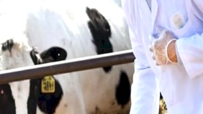 Tarımda maliyet baskısı sürüyor... Girdi fiyatları veteriner harcamaları yine zirvede