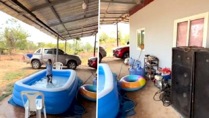 Trabzonlu damat Tayland köyünü kolbastıyla inletti