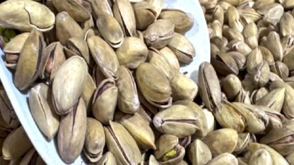 Türkiye'nin 3 aylık fıstık ihracatı geliri: 32,8 milyon dolar