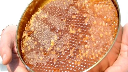 Uygunsuz balın piyasaya girişi engellenecek