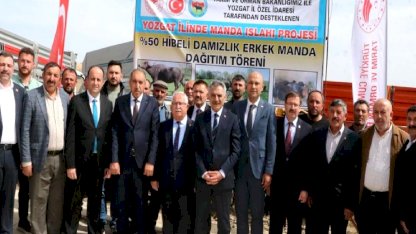 Yozgat'ta Manda Dağıtımı
