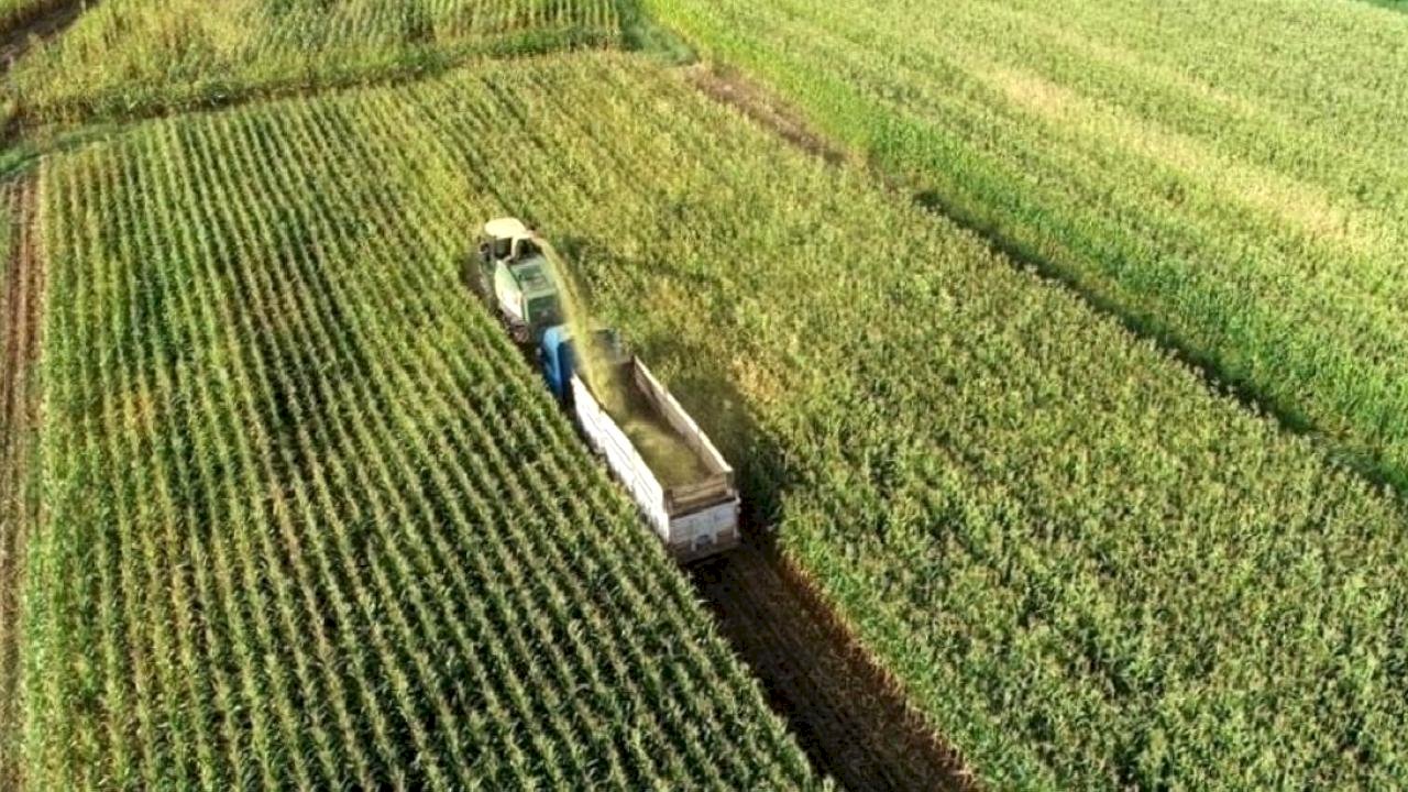 Tarlalardaki izinsiz yapılar bir ay içinde yıkılacak
