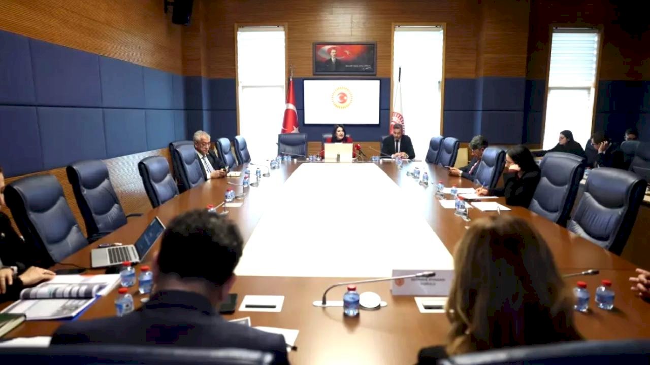 TBMM Finansal Okuryazarlığın Yaygınlaştırılması Alt Komisyonu toplandı (2)-