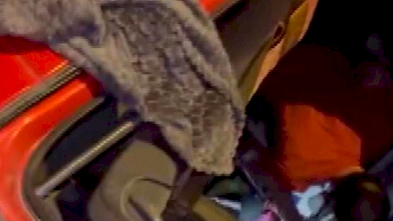 Tuzla'da Devrilen TIR Trafiği Kilitledi