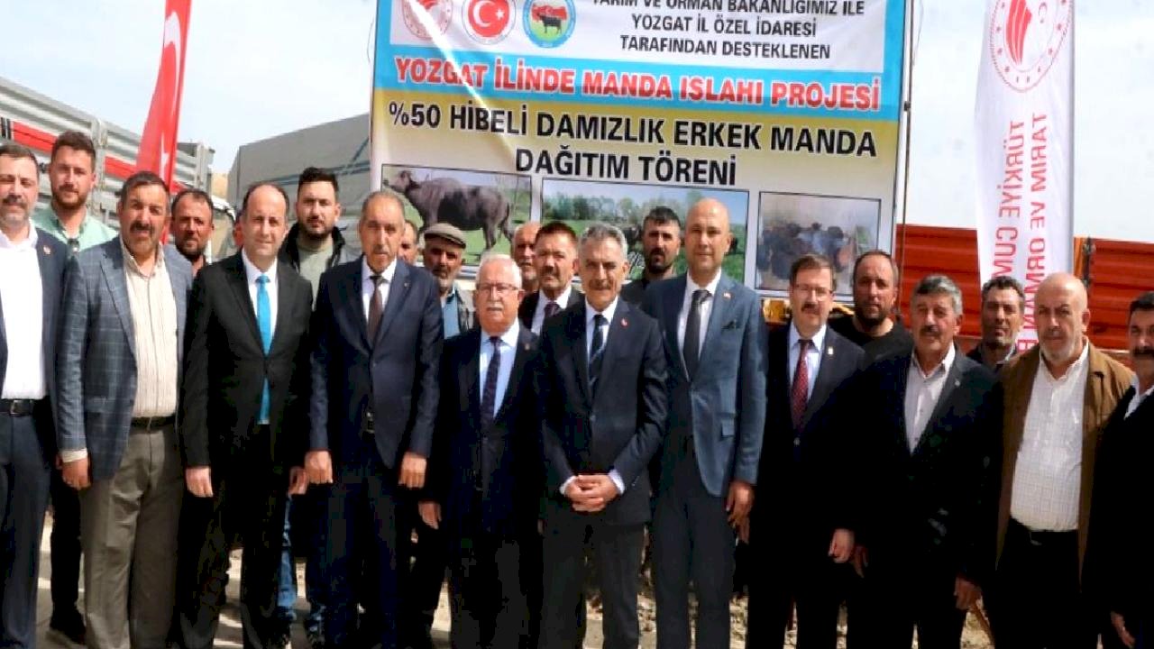Yozgat'ta Manda Dağıtımı