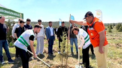 AK Parti Kırşehir Teşkilatından fidan dikim etkinliği