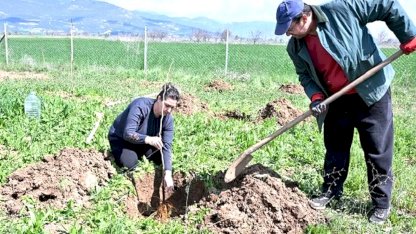 Antalya Büyükşehir ipek böceği yetiştiriciliğini yaygınlaştırıyor