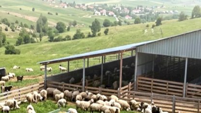 Çiftçilere 5,48 milyar TL tarımsal destek ödemeler hesaplarda