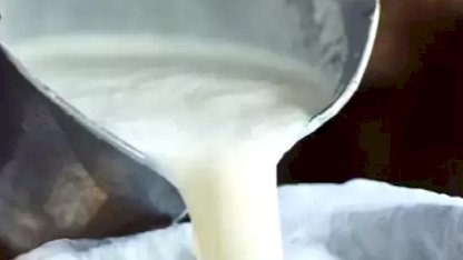 Çiğ süt üretimi 2025’te geriledi! Manda ve keçi sütü sert düştü!