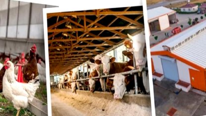 IPARD III sonuçları açıklandı... 218 projeye 2,5 milyar TL hibe
