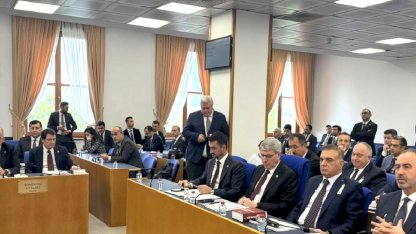TBMM'de Varlık Barışı Görüşüldü